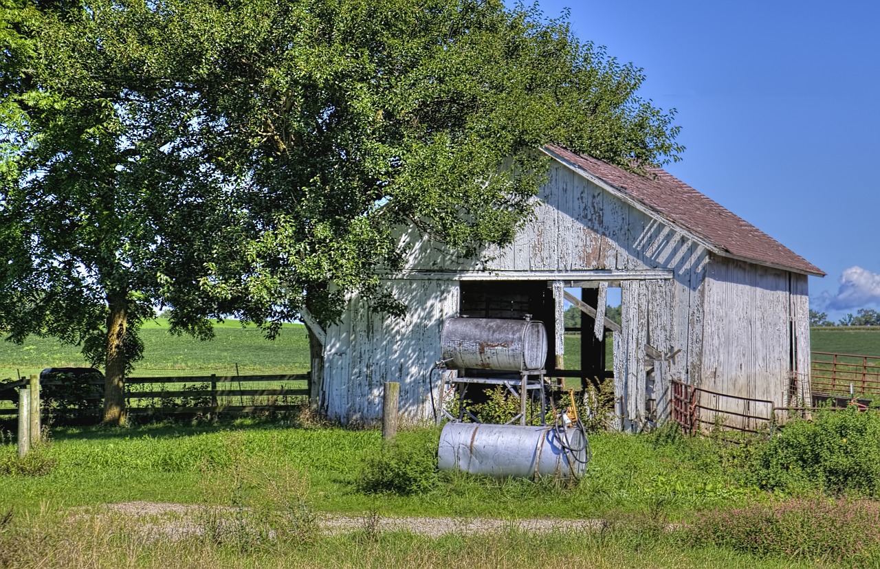 How to Build a Wooden Garden Shed: A Guide